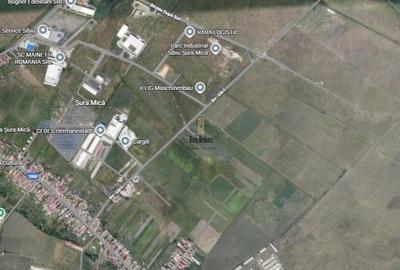 Teren Construcții intravilan de 20000 mp, în Șura Mică - 2