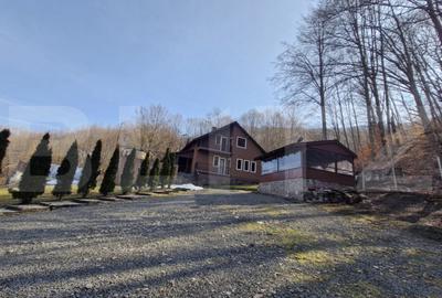 Casă cu 5 camere cu Teren 3000 Mp în Valea Inzelului - 10