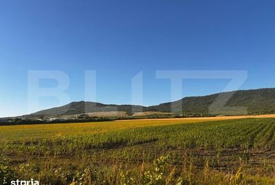 Teren de 5100 mp, în Șieu
