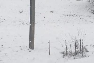 Teren în Pârteștii de Jos - 3