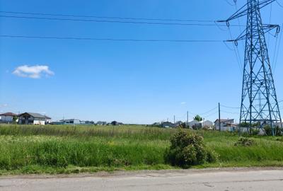 Teren intravilan de 10000 mp, în Săbăreni - 5