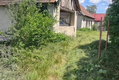 Casă cu 2 camere cu Teren 1400 Mp în Cheșa - 4