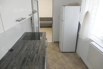 Garsonieră semidecomandată în Podgoria - 5