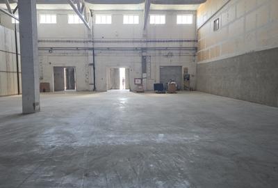 Spațiu industrial, în Depozitelor - 1