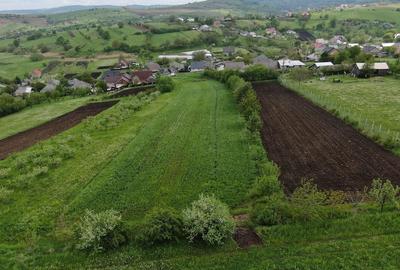 Teren de 50000 mp, în Bălțătești