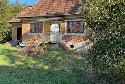 Casă cu 2 camere în Măhăceni - 7