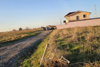 Teren Construcții intravilan de 1000 mp, în Viile Noi - 3