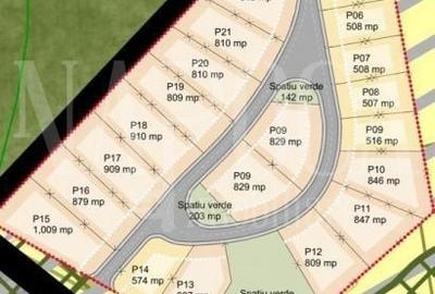 Teren Construcții intravilan de 23200 mp, în Chinteni - 2