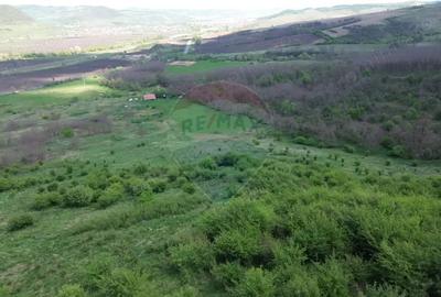Teren de 659000 mp, în Copșa Mică - 3