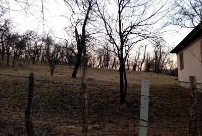 Teren de 1600 mp, în Lunca (Moroeni) - 2