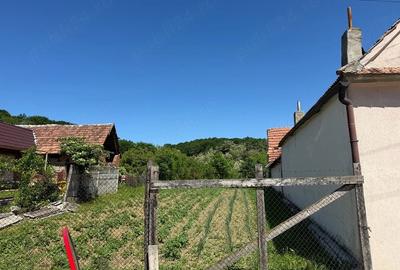 Teren de 600 mp, în Bradu - 1