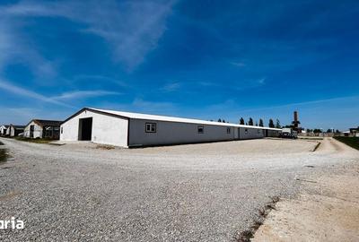 Spațiu comercial, de 120 mp, în Sântandrei - 3