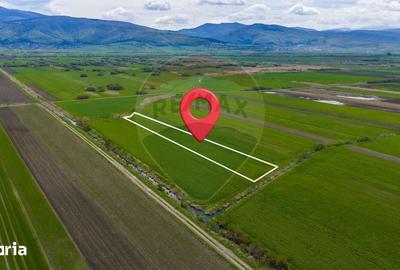 Teren de 4000 mp, în Prejmer - 7