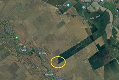 Teren agricol extravilan de 7961 mp, în Frumușani - 6