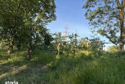Teren de 10000 mp, în Budeasa - 8