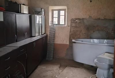 Casă cu 3 camere cu Teren 10000 Mp în Central - 10