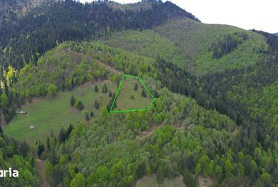 Teren de 10270 mp, în Sadova - 2
