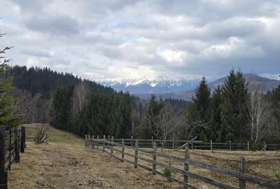 Teren Construcții intravilan de 3040 mp, în Bran - 11