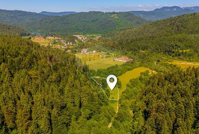 Teren Construcții intravilan de 6000 mp, în Brădet - 1