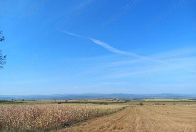 Teren de 9000 mp, în Lămășeni - 1