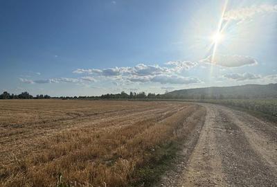 Teren de 520 mp, în Oșorhei