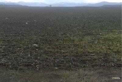 Teren de 3533 mp, în Florești - 4