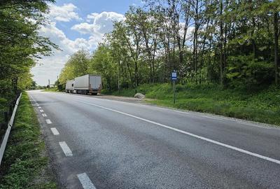 Teren intravilan de 2500 mp, în Drăgușeni - 6