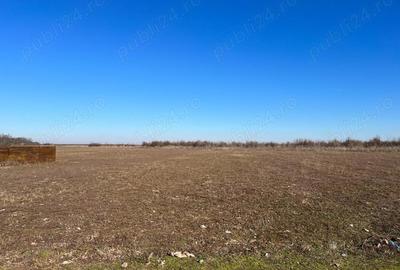 Teren de 40000 mp, în Letca Nouă - 2