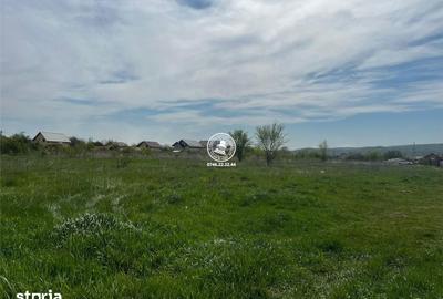 Teren de 4016 mp, în Frumoasa - 3