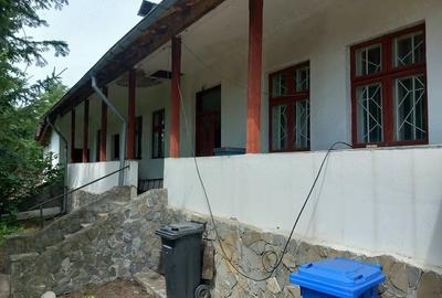 Casă cu 3 camere cu Teren 3600 Mp în Teiș