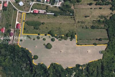 Teren Construcții intravilan de 23345 mp, în Cornu de Jos (Cornu) - 3