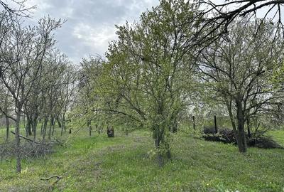 Teren de 7491 mp, în Găiseanca