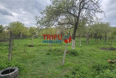 Casă cu 4 camere în Benic - 3