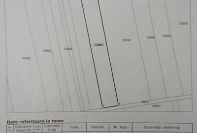 Teren de 2400 mp, în 1 Decembrie - 1