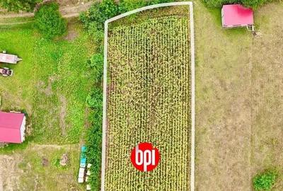 Teren de 1800 mp, în Mălini