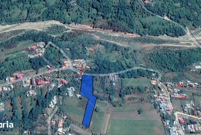 Teren de 4733 mp, în Drajna - 1