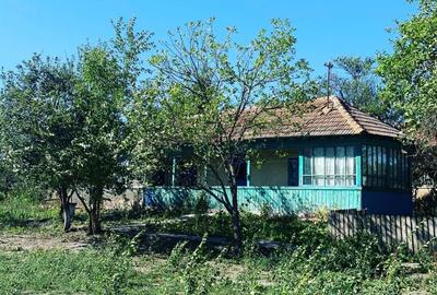 Teren de 1132 mp, în Comana - 7