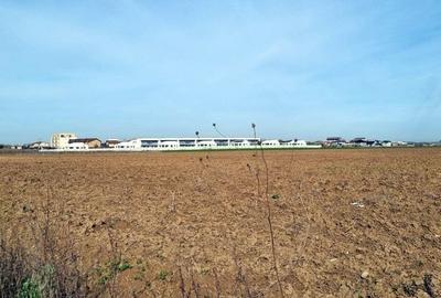 Teren Construcții intravilan de 4430 mp, în Ostratu - 3