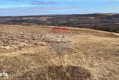 Teren de 4000 mp, în Ciurila
