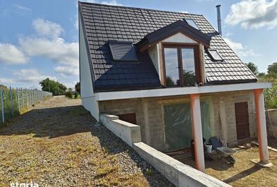 Casă cu 3 camere cu Teren 1900 Mp în Vârfu Câmpului - 3