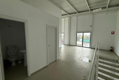 Spațiu industrial, de 2,350 mp, în Mogoșoaia - 13