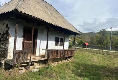 Teren în Nucșoara - 3