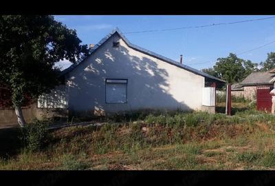 Casă cu 2 camere cu Teren 1439 Mp în Cermei - 10
