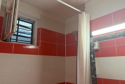 Apartament cu 2 camere semidecomandat, mobilat în Alexandru Obregia - 12