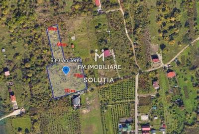 Teren agricol extravilan de 6330 mp, în Valea Borcutului - 1
