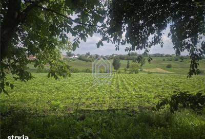 Teren de 2000 mp, în Moara - 4