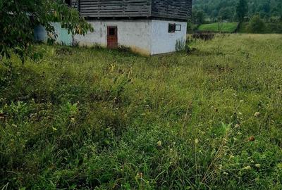 Casă cu 3 camere în Sulța - 4