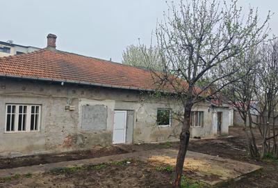 Casă cu 4 camere în Radu Negru
