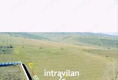 Teren de 1600 mp, în Mineri