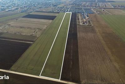 Teren de 38500 mp, în Tărlungeni - 3